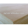 good price poplar plywood/commercial plywood